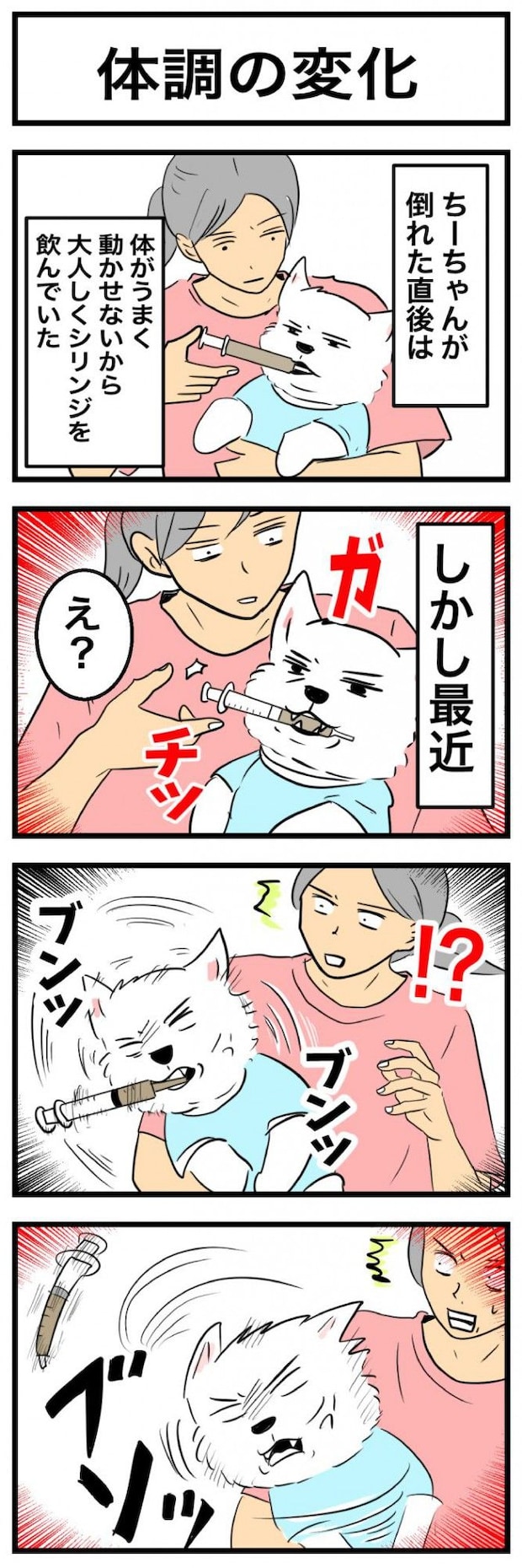 ちーちゃんですけどもっ【第36
話】　1