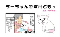 ちーちゃんですけどもっ【第366話】「体調の変化」
