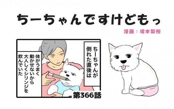ちーちゃんですけどもっ【第366話】「体調の変化」