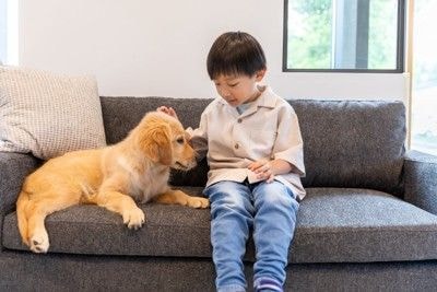 男の子と犬