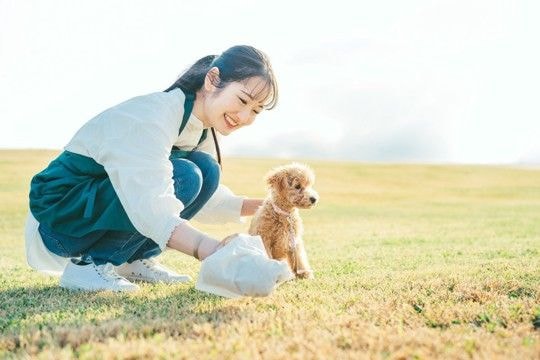犬の『排泄物』からわかる健康状態とは？毎日のチェックが病気の早期発見に繋がることも