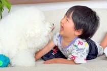 男の子が生まれてからずっと『犬と一緒に過ごした』結果…お互いに愛が止まらない『素敵すぎる記録』が12万再生「幸せの象徴」「涙出てきた」