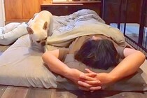 夜、寝転がっているときに『犬が寄り添ってきた』と思ったら…とんでもなく尊い『おねんねの光景』が8万再生「幸せすぎるうう」「羨ましい」