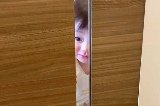 生まれた瞬間から犬と育った赤ちゃん→朝の散歩から帰ると、ドアの向こうで…あまりにも尊い光景が26万再生「仲良しで素敵」「見つめ合ってる」