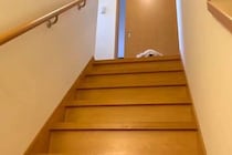 『抱っこで下ろして』と階段の上で待つ犬→数分後、再び様子を見に行った結果…まるで子供のような光景が10万再生「甘えん坊ｗ」「人みたい」
