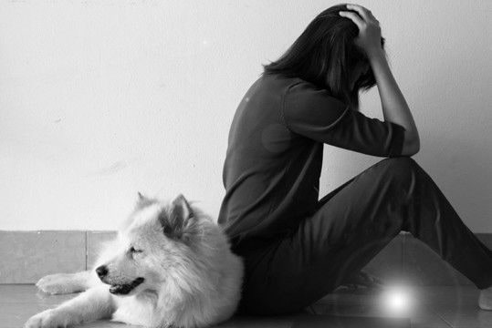 『貧乏な人』が犬を飼うとどうなるの？起こり得るリスクや必ず知っておくべき現実まで