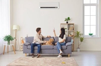 エアコン調節するカップルと犬