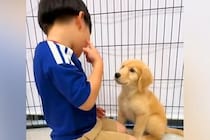 なぜか『子犬』を呼んだ小さな男の子→『何をするのかな？』と思ったら…「相思相愛」「ふたりとも可愛すぎ」とんでもなく尊い光景に思わず悶絶