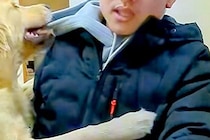 仕事の面接に来た男性→なぜか『大型犬』に好かれ過ぎて…まさかの『面接どころではない光景』が135万再生　アピールが止まらない姿にほっこり