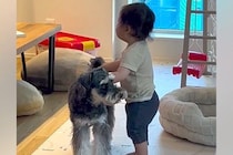 赤ちゃんが『散歩から帰ってきた犬』に近づいた結果→『何をするのかな』と撮影していたら…まさかの光景が38万再生「この歳で！」「面白すぎ」