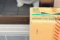 自宅警備犬が『お昼寝をした』結果→配達員の置き配に気が付かなくて…ショックを受け過ぎた『まさかの表情』に9万いいね「可愛すぎ」「反則」