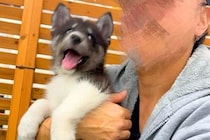 小さくて尊い赤ちゃん犬と写真撮影→4ヶ月後、同じように撮ってみたら…『本当にまだ子犬？』信じられないほどの『巨大化』に思わず驚き