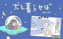 犬と暮らせば【第548話】「続・エマとサッカーと私2026」