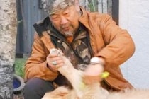 お父さんにブラッシングしてもらう大型犬→まるで『ヒツジの毛刈りのような光景』が28万表示「されるがままｗｗ」「めっちゃ可愛い」と反響