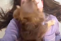 夜、暑いからと飼い主と別々で寝た犬→朝になると『顔の上』に乗ってきて…理不尽すぎる光景が153万再生「文句言ってるｗ」「たまらない」