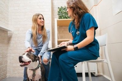 病院にくる犬