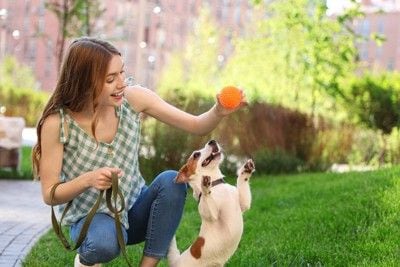 犬と遊ぶ女性