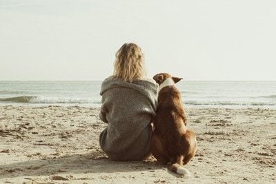 寄り添う犬と女性
