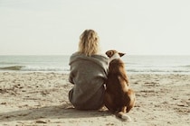 犬がもたらす幸せホルモン『オキシトシン』とは？愛犬と触れ合うことで得られる効果まで