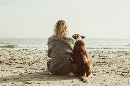 犬がもたらす幸せホルモン『オキシトシン』とは?愛犬と触れ合うことで得られる効果まで