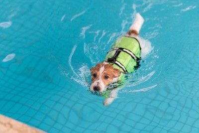 ライフジャケットを着て泳ぐ