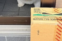 自宅警備犬が『お昼寝をした』結果→配達員の置き配に気が付かなくて…ショックを受け過ぎた『まさかの表情』に9万いいね「可愛すぎ」「反則」