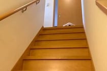 『抱っこで下ろして』と階段の上で待つ犬→数分後、再び様子を見に行った結果…まるで子供のような光景が10万再生「甘えん坊ｗ」「人みたい」