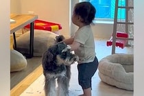赤ちゃんが『散歩から帰ってきた犬』に近づいた結果→『何をするのかな』と撮影していたら…まさかの光景が38万再生「この歳で！」「面白すぎ」