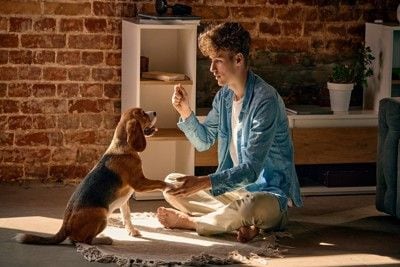 男性と犬