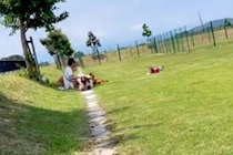 ドッグランで、知らない人を『ママだ』と勘違いした犬→勢いよく近づいた結果…気づいた瞬間の『反応速度』に爆笑「急ブレーキｗ」「お見事ｗｗ」