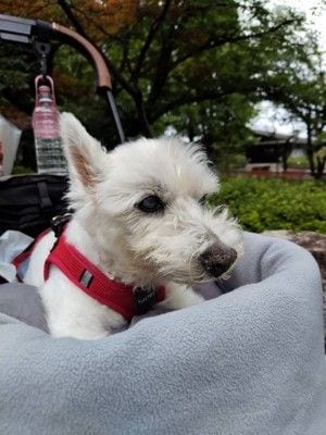 ちーちゃん