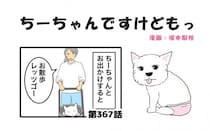 ちーちゃんですけどもっ【第367話】「飼い犬の影に隠れる私の存在」