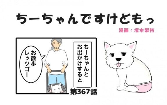 ちーちゃんですけどもっ【第367話】「飼い犬の影に隠れる私の存在」