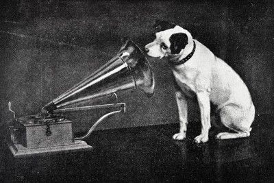ビクター犬