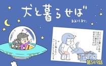 犬と暮らせば【第549話】「夏のリズム」