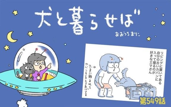 犬と暮らせば【第549話】「夏のリズム」