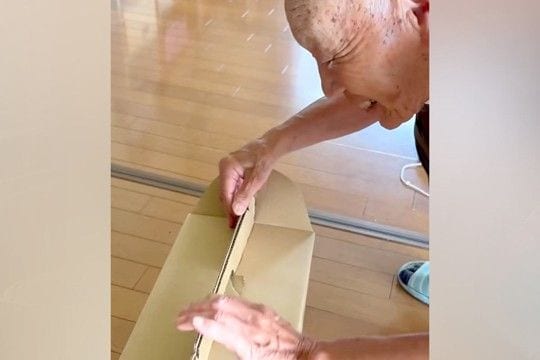 おじいちゃんと『子犬』を初めて会わせてみた結果→箱を開けた瞬間に…尊すぎる『はじめましての光景』が11万再生「平和で美しい」「癒される」