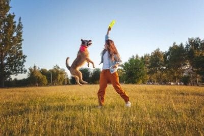 ディスクで遊んでいる犬と女性