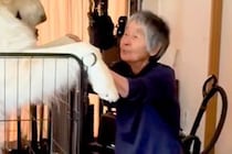 おばあちゃんの横で立ち上がった『1歳の超大型犬』→もはや目の錯覚レベルな『規格外のデカさ』が35万再生「AIかと思ったｗｗ」「熊かな？」