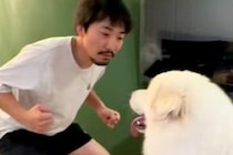 元柔道部の男性が『34キロの超大型犬』に戦いを挑んだ結果→想像の斜め上をいく『技アリの一本』が18万再生「反則で草」「大爆笑したｗｗ」