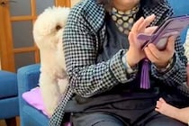 おばあちゃんのことが大好きな犬→『赤ちゃんに取られてしまった』と勘違いして…感情むき出しな光景が20万再生「ヤキモチ可愛い」「必死ｗｗ」