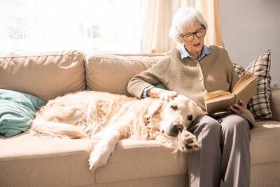 本を読む女性に寄り添う犬