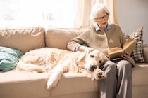 『耳が聞こえにくくなっている犬』がみせるサイン5選　聴力低下の原因や飼い主がすべき配慮まで