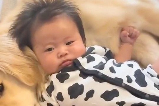 赤ちゃんが大型犬と『生まれた時から一緒に育った』結果→3歳になり…あまりにも尊い『相棒のような光景』に反響「仲良しさん」「最高の癒し」