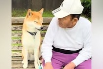 公園でおじいちゃんに遭遇した犬→隣に座ったと思ったら…離れたくなくてみせた『微笑ましい光景』が5万再生「居心地いいもんね」「可愛すぎ」