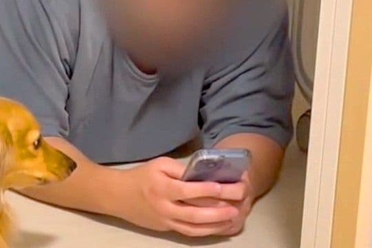 数分間スマホに夢中になっていたら、そばにいた犬が『やめて！』と訴えて…可愛すぎる『スマホ警察』が14万再生「圧力すごくて草」「完敗ｗｗ」