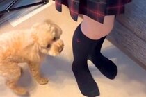 朝、学校に行こうとする女の子→犬が玄関で『行かないで』と寂しがって…後ろ髪引かれる光景が17万再生「大好きなんだ」「困るほどの可愛さ」