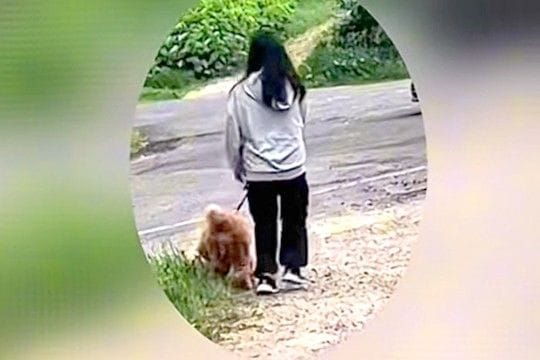 小学生の女の子が『初めて1人で犬の散歩』に行った結果→心配なので、こっそり尾行したら…予想外の光景に反響「頼もしいね」「バレバレで草」