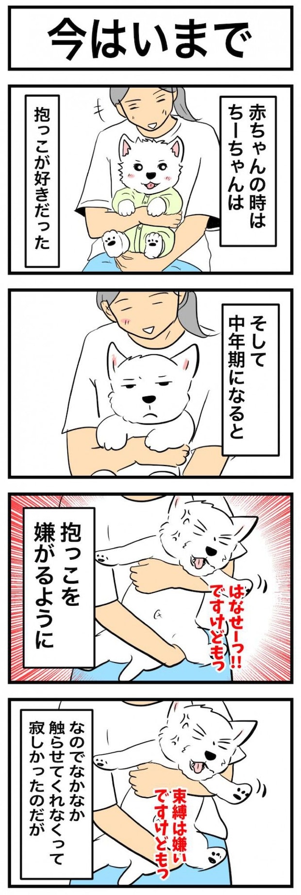 ちーちゃんですけどもっ【第368話】　1