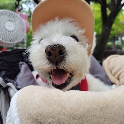 ちーちゃん